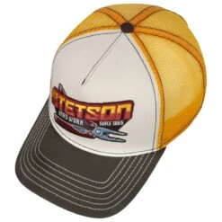 Hard Work Trucker Cap By Stetson